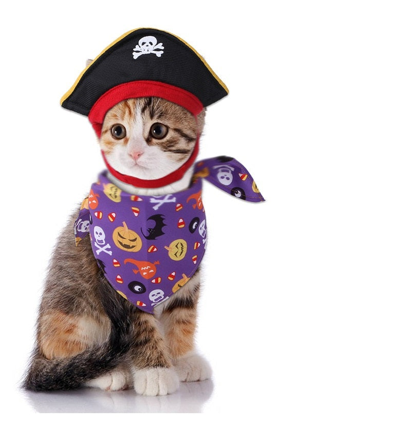 Pirate Hat for Cat