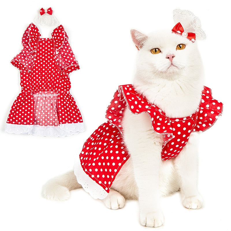 Polka Dot Clothes for Cats