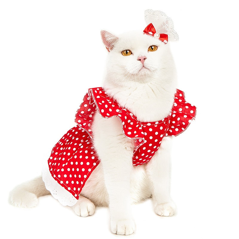 Polka Dot Clothes for Cats
