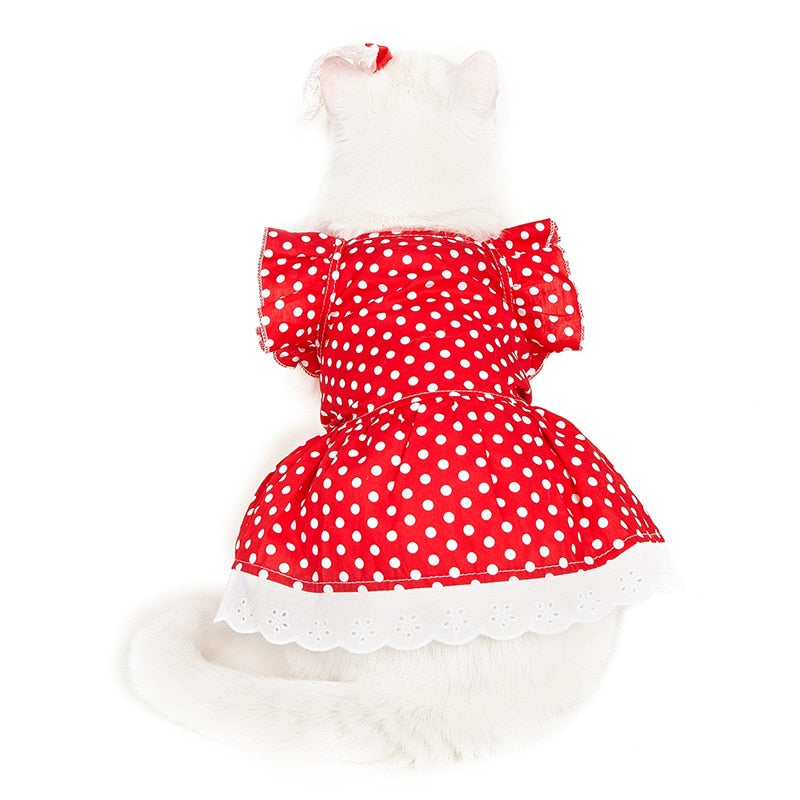 Polka Dot Clothes for Cats