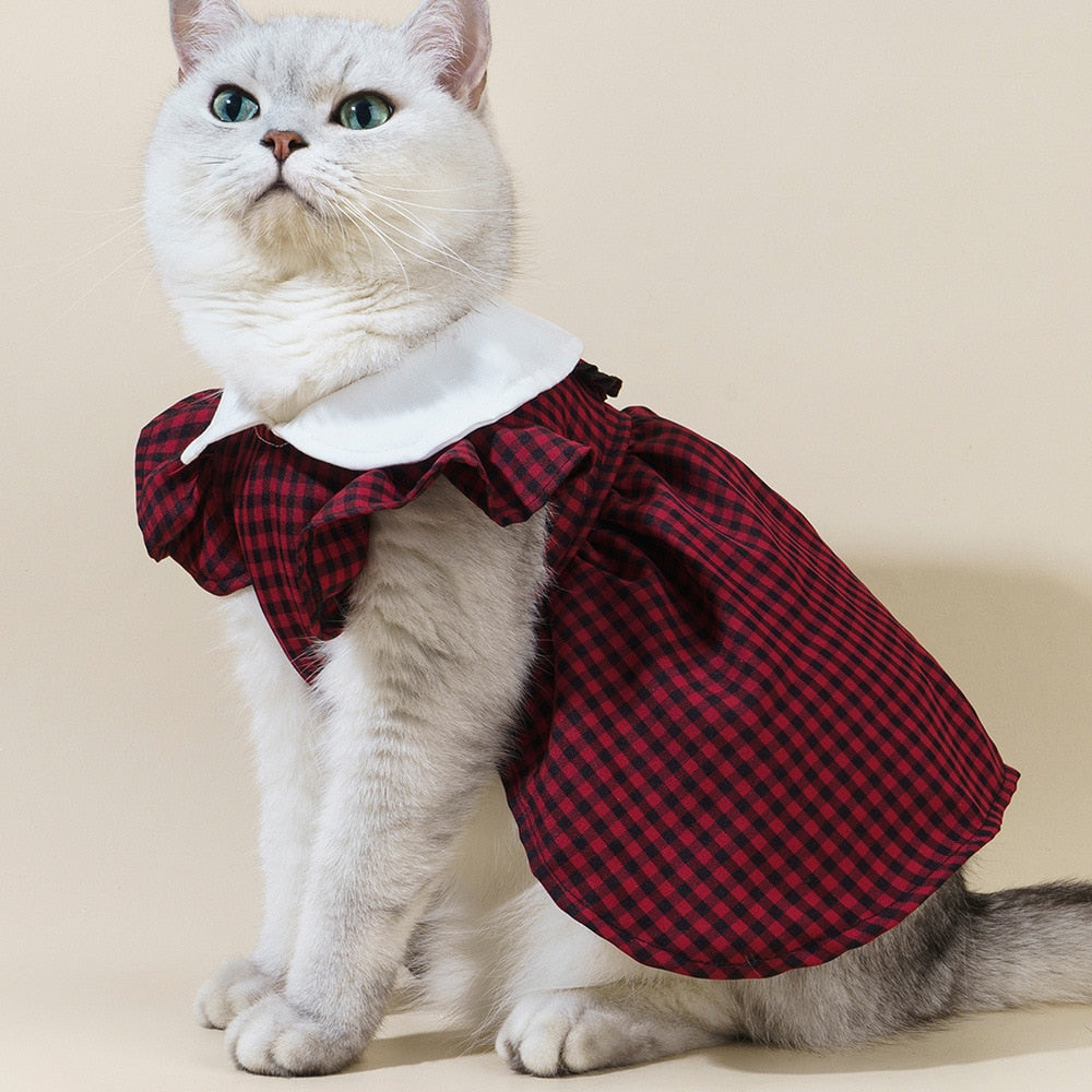 Preppy Clothes for Cats
