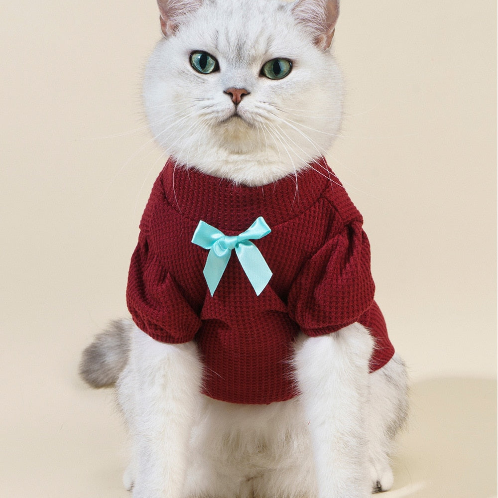 Preppy Clothes for Cats