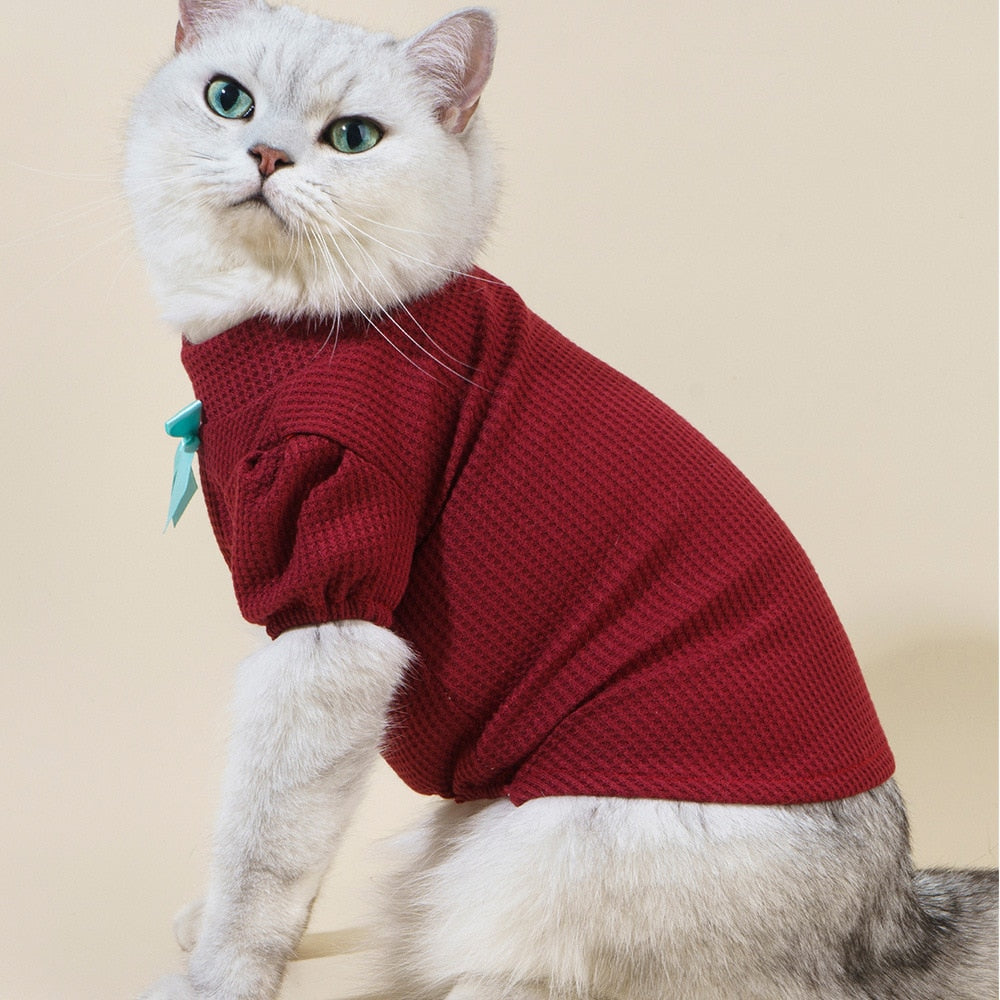 Preppy Clothes for Cats
