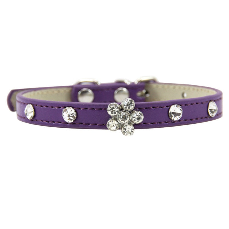 Pretty Cat Collars