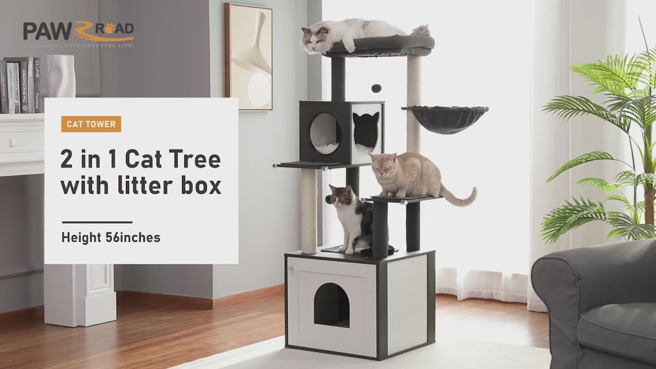 Video presentazione BoxCat™ – Albero tiragraffi robusto in legno multi-livello per gatti