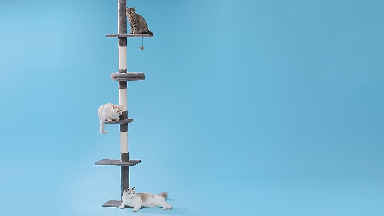 Video presentazione ClimberCat™ albero tiragraffi multi-livello per gatti attivi e giocherelloni