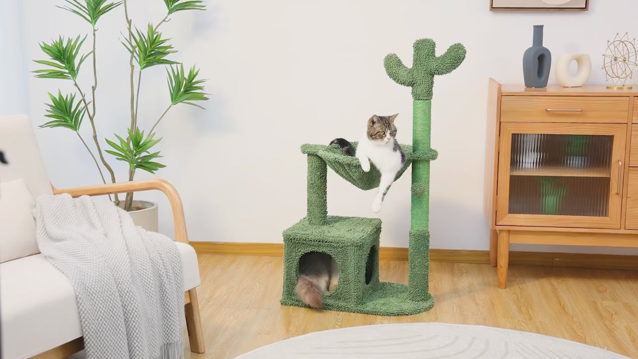 Video dimostrativo CactusPaws™ albero tiragraffi 102 cm con amaca, condo e pali in sisal per gatti