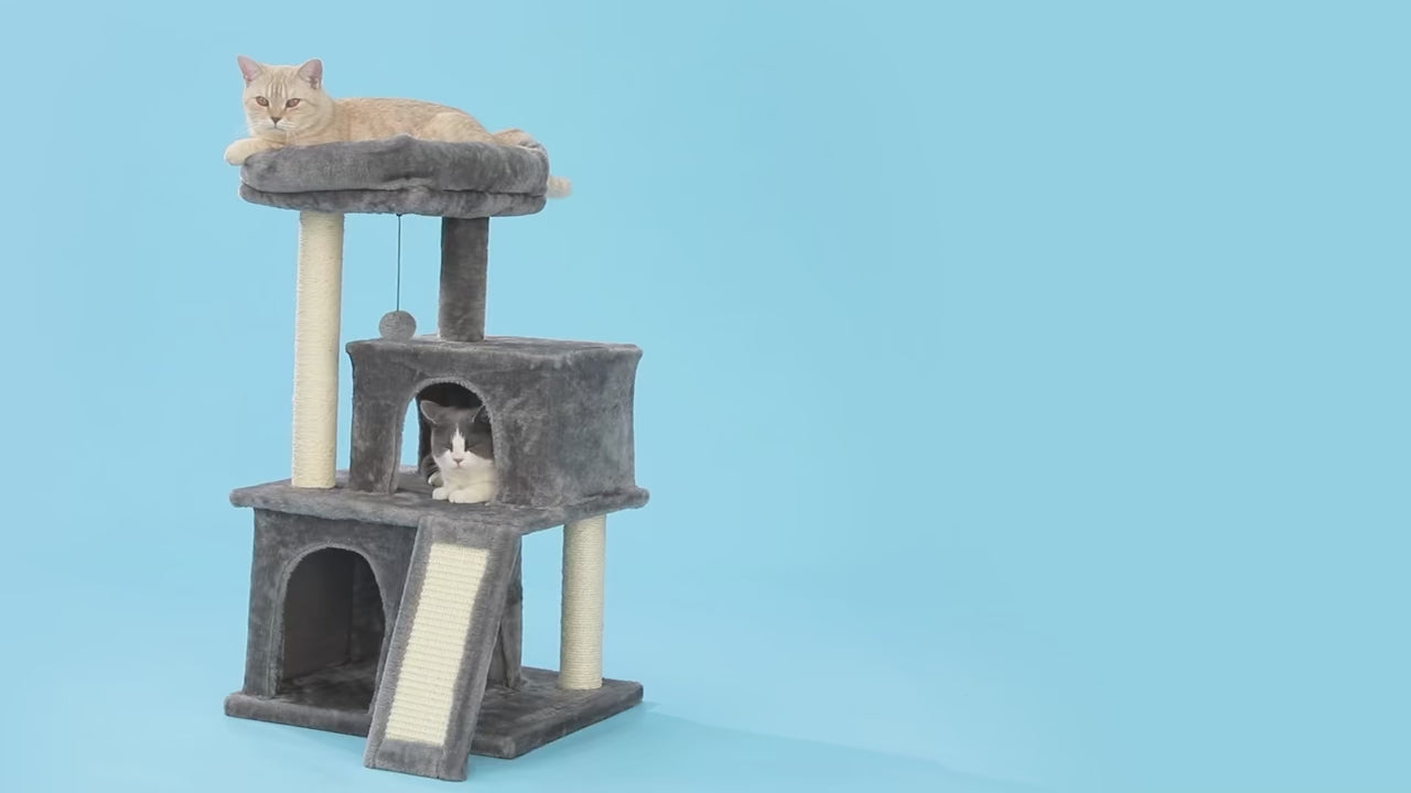 Video presentazione CozyHome™ albero tiragraffi 2 livelli per gatti, compatto e multifunzionale