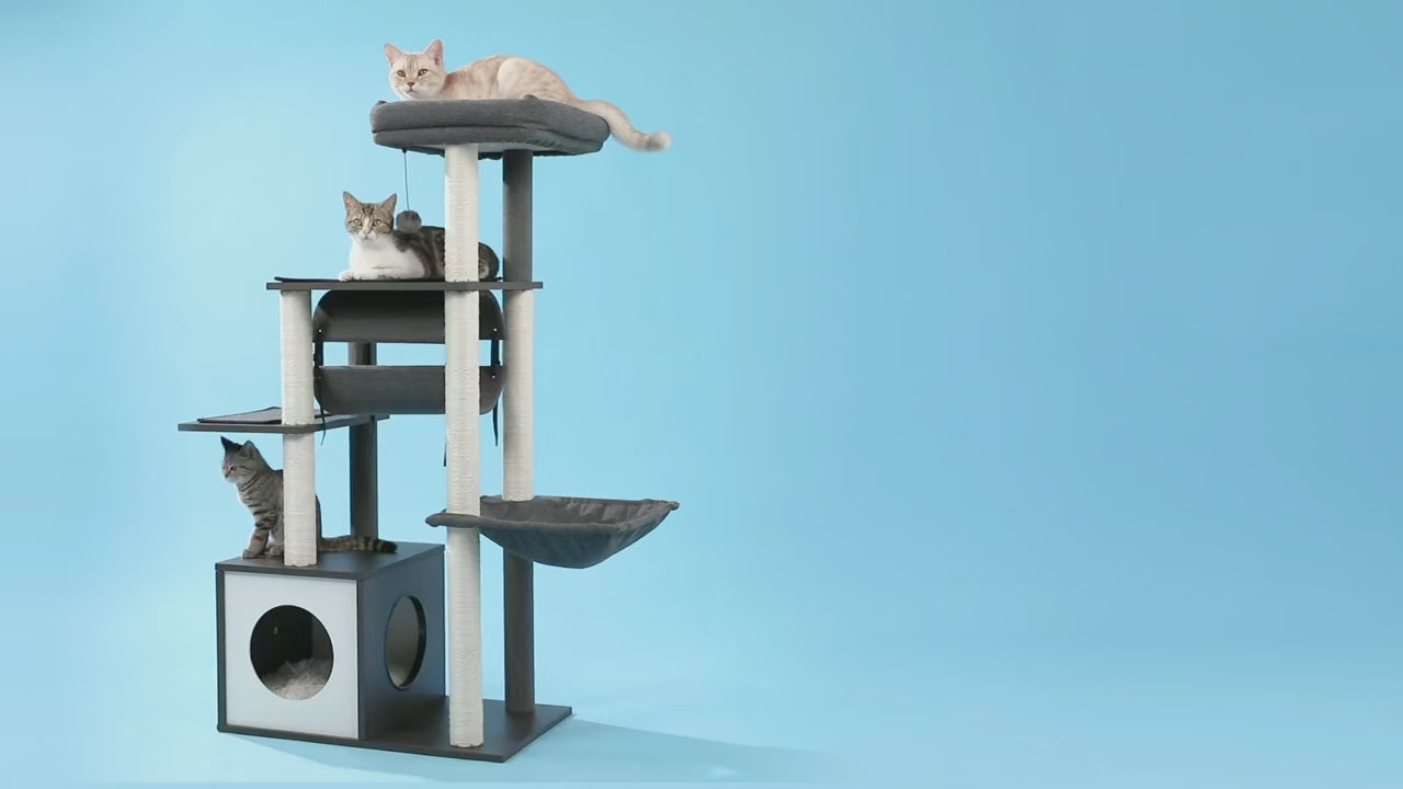 Video presentazione ModernCat albero tiragraffi moderno multi-livello per gatti