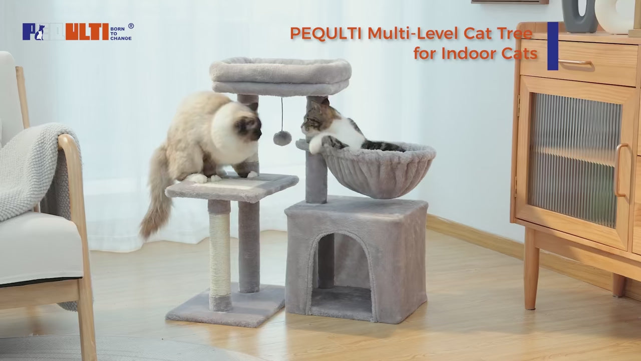 Video dimostrativa MiniPaws™ albero tiragraffi 73 cm modulare con cuccia, amaca e piattaforme per 1-2 gatti