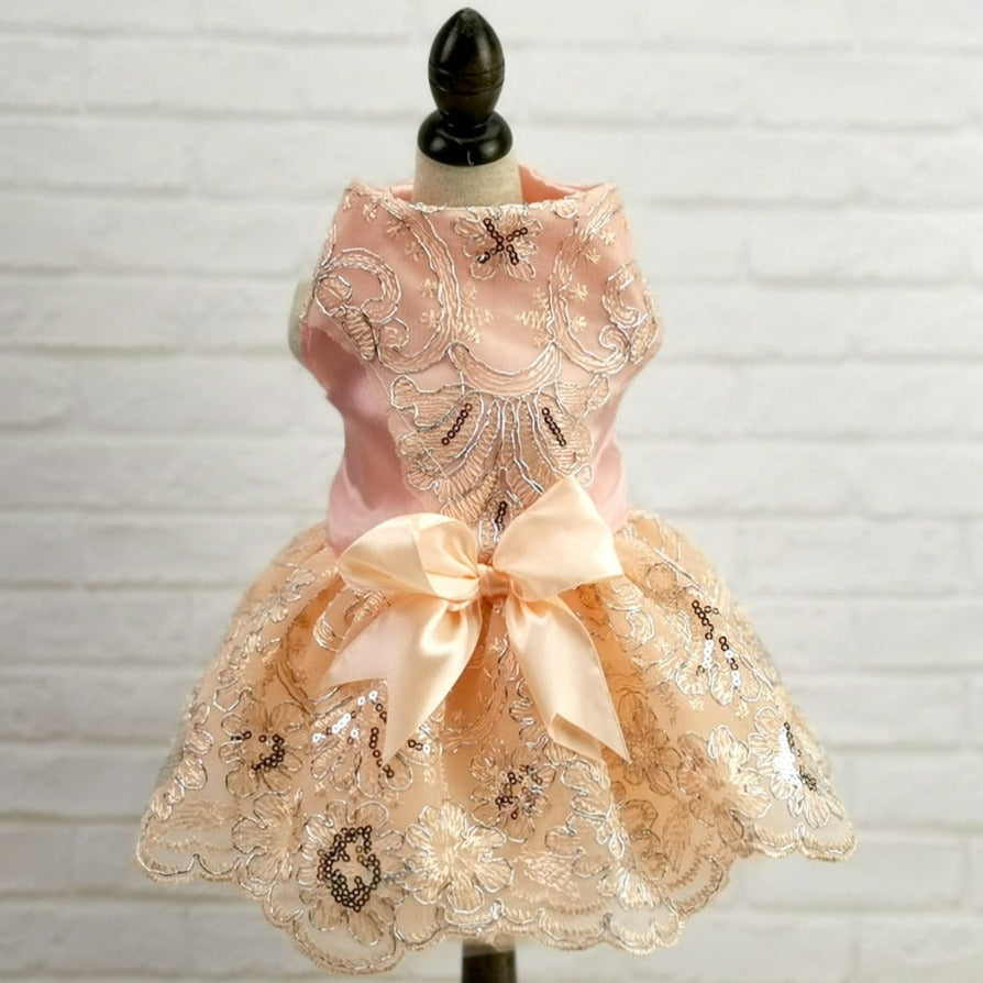Princess Cat Dress