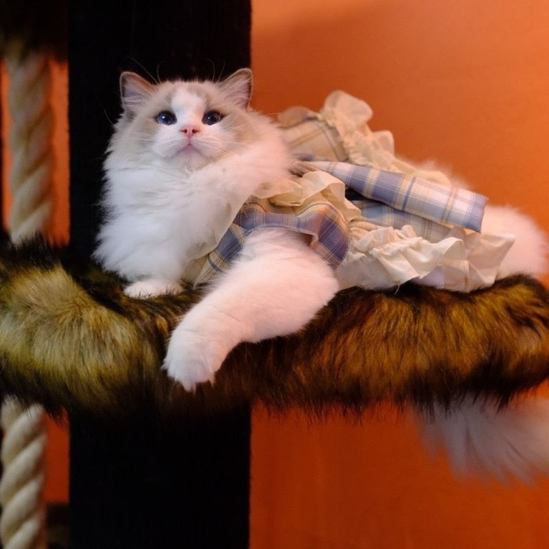 Princess Clothes for Cats