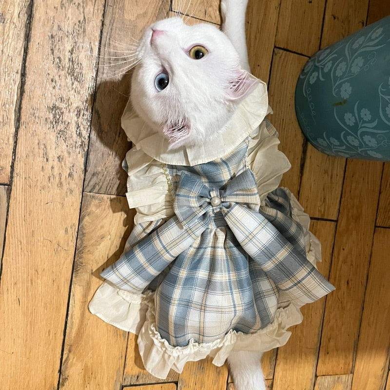 Princess Clothes for Cats