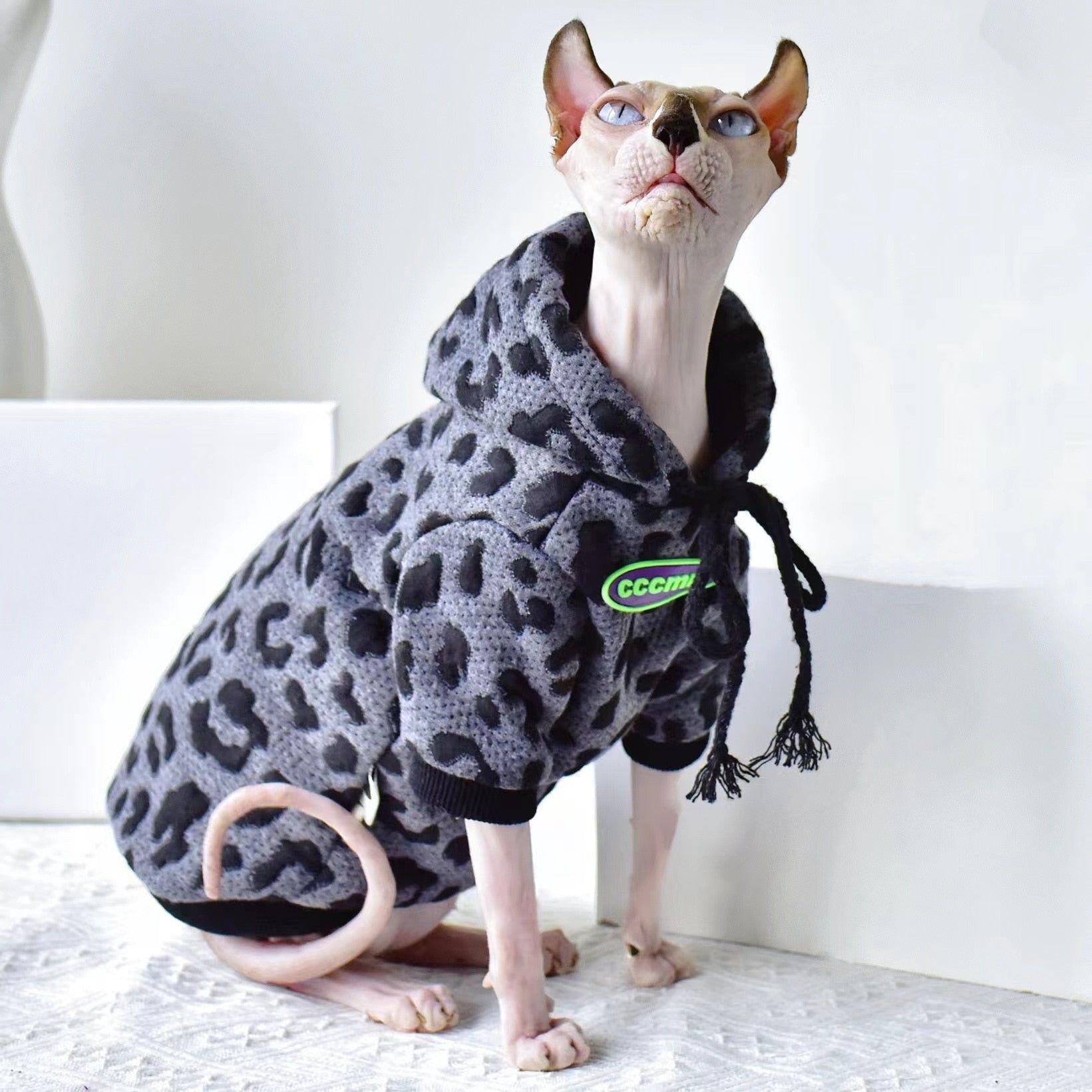 Pullover Clothes for Cats