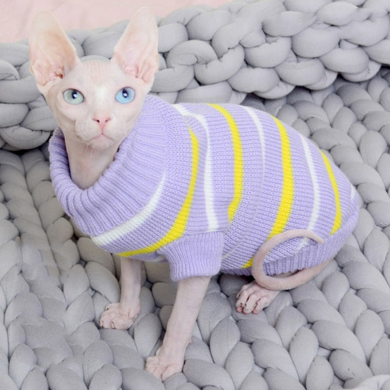 Purple Sphynx Cat Clothes