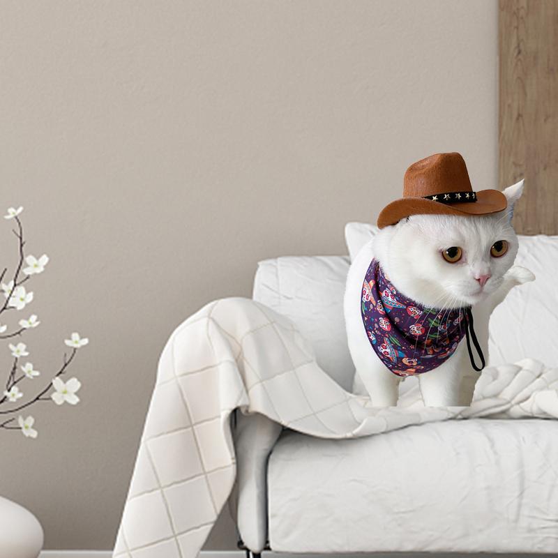 Puss in Boots Costume for Cats
