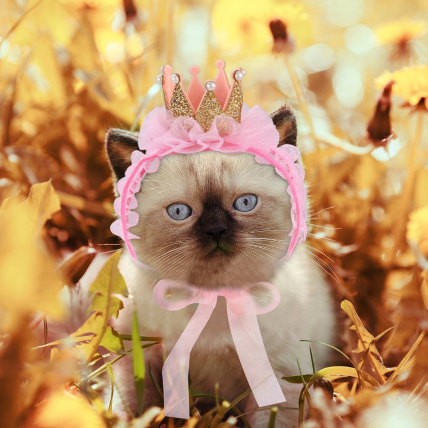 Queen Hat for Cats