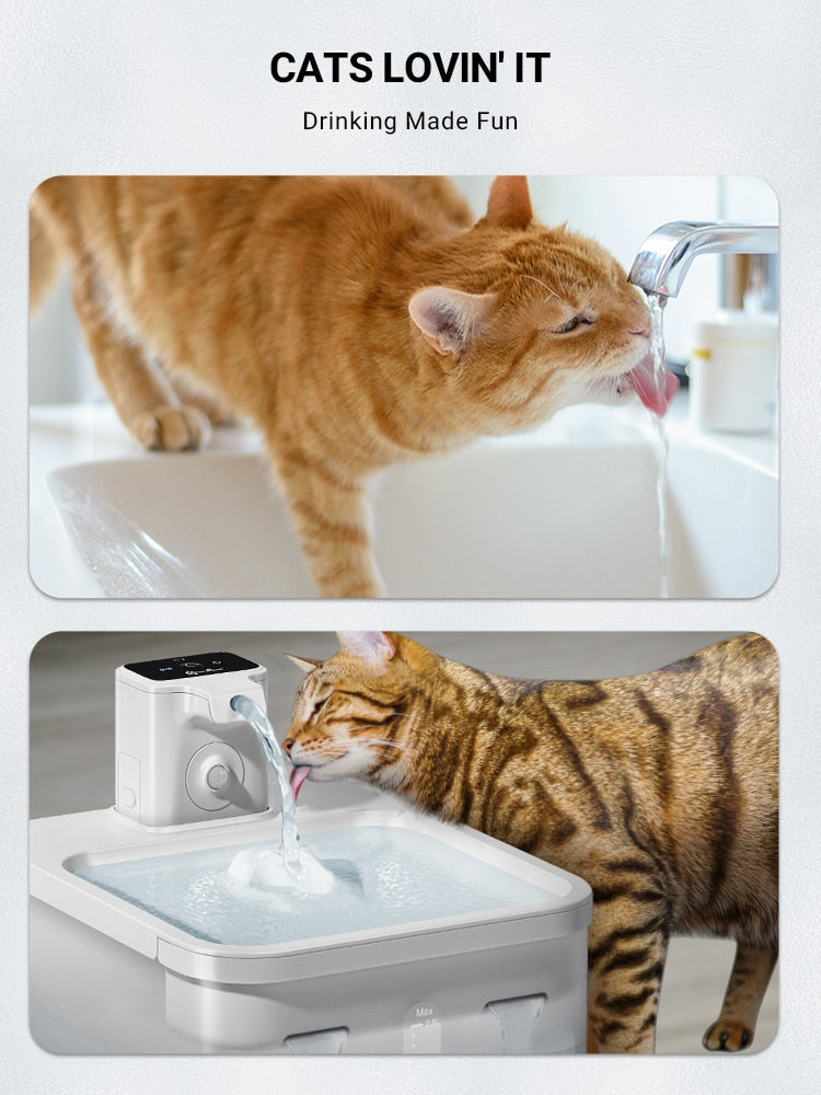 Quiet Cat Water Fountain