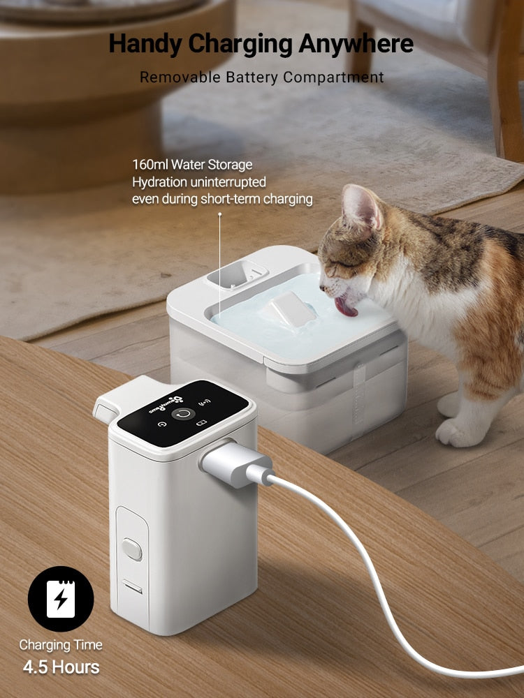 Quiet Cat Water Fountain