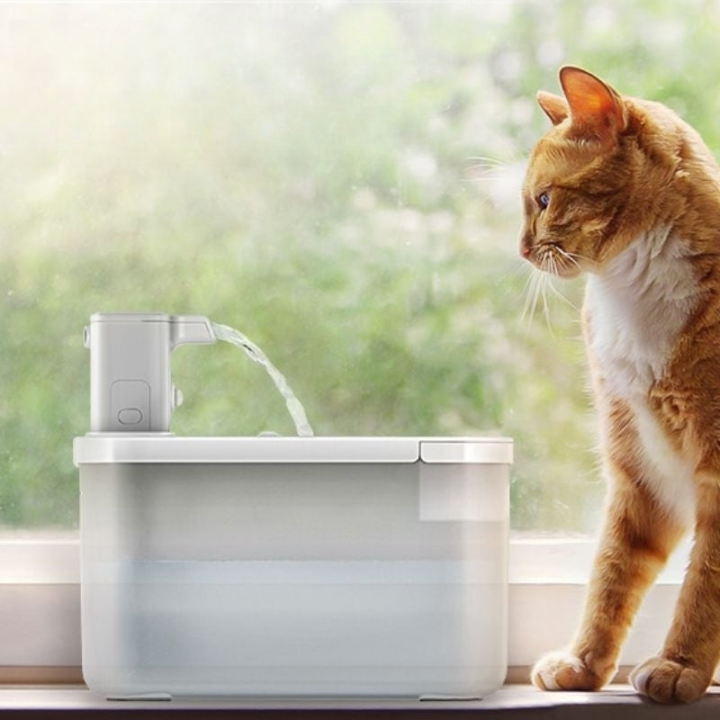 Quiet Cat Water Fountain