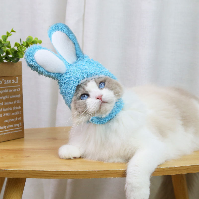 Rabbit Hat for Cats