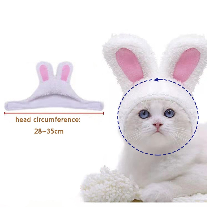 Rabbit Hat for Cats
