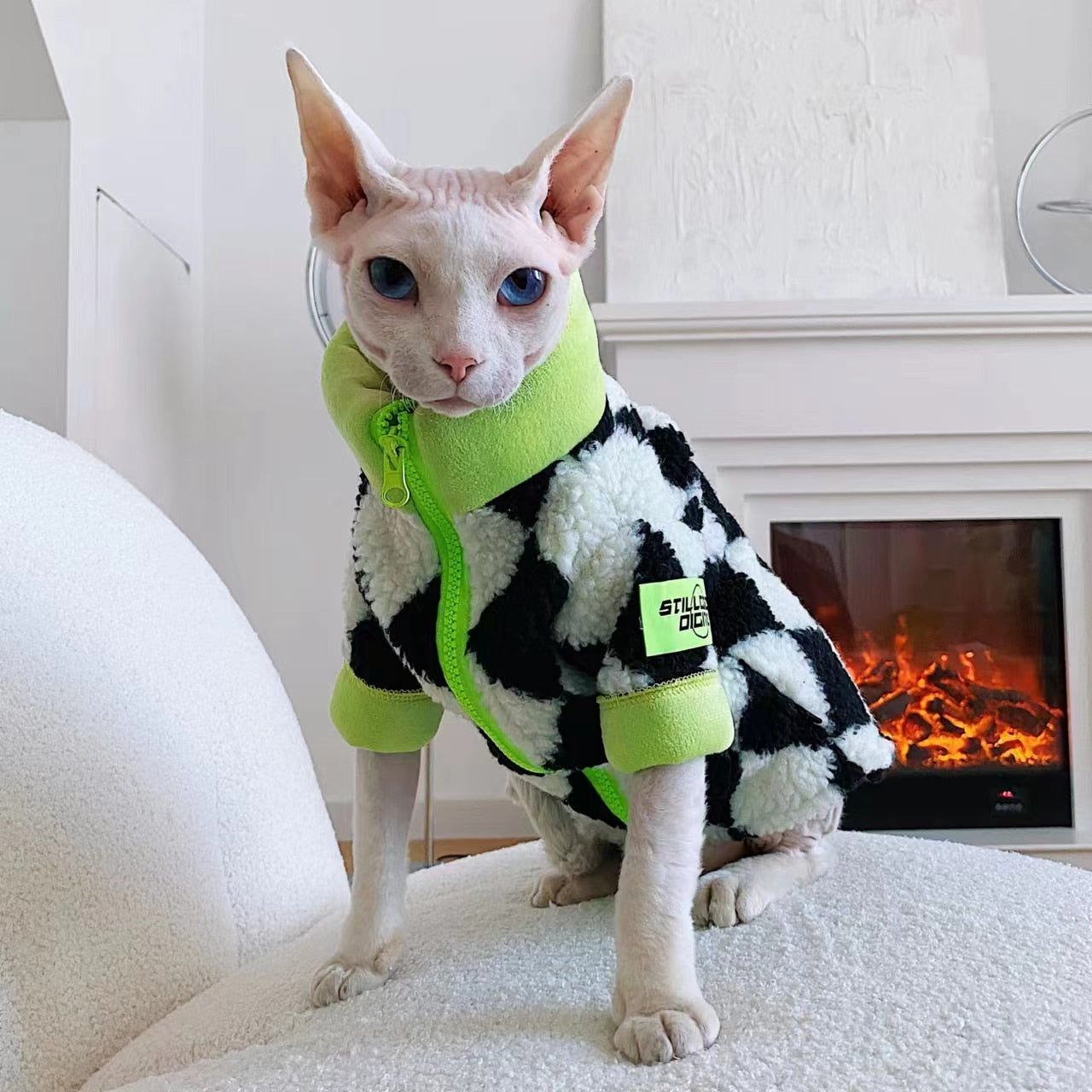 Racer Clothes for Cats