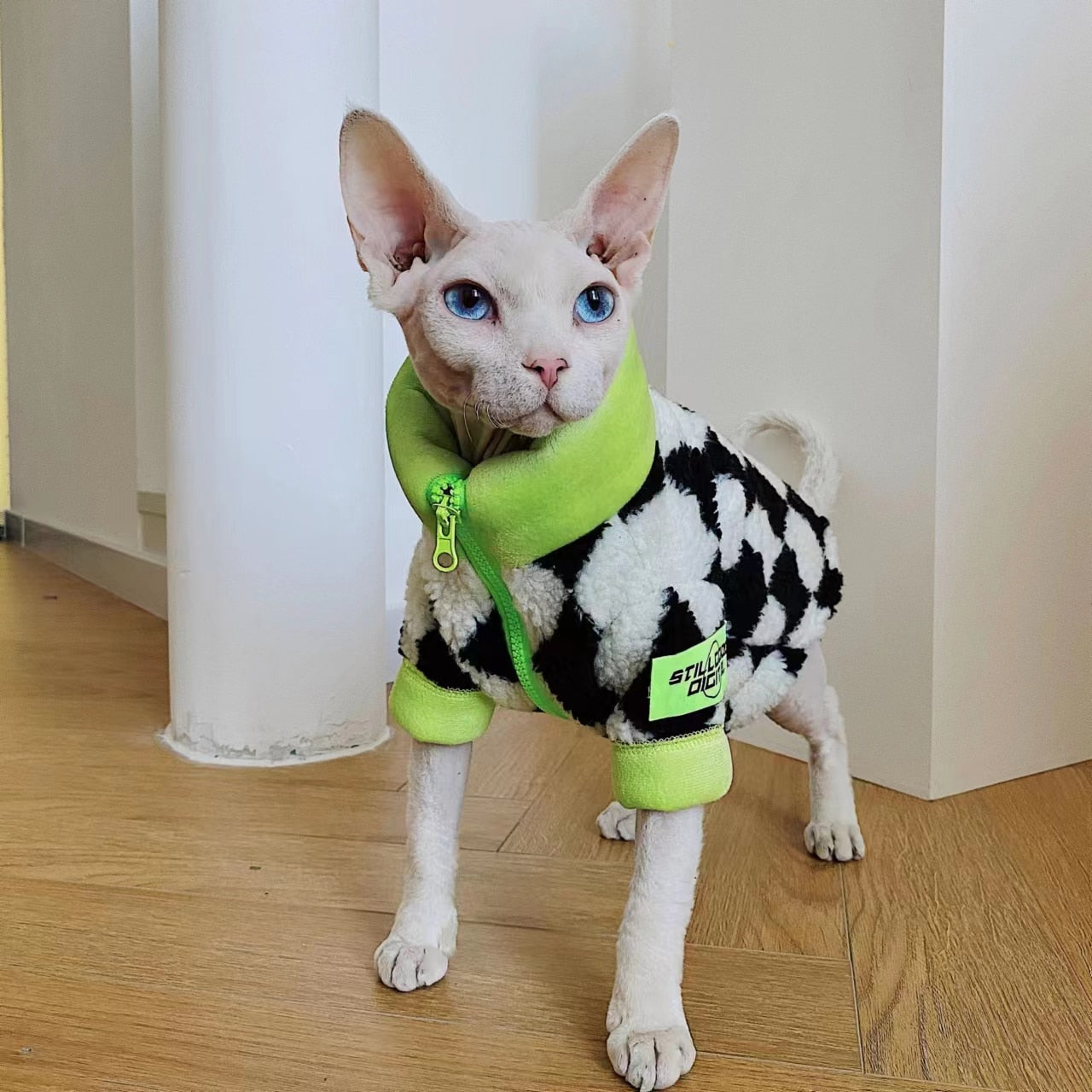 Racer Clothes for Cats