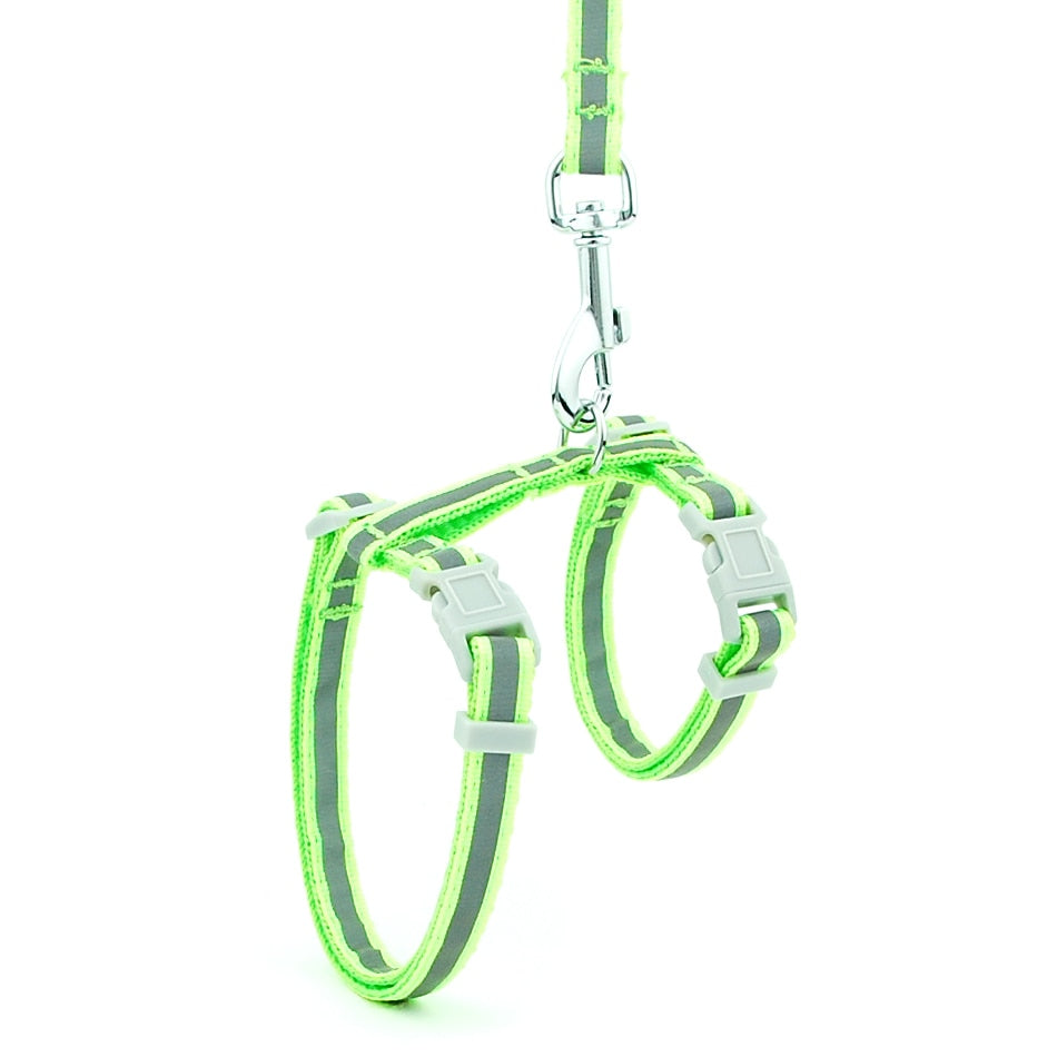 Reflective Cat Walk Harness