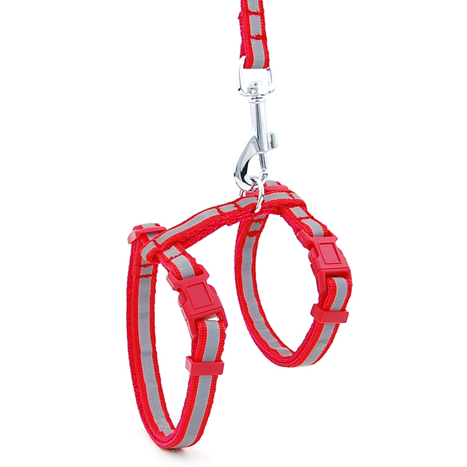 Reflective Cat Walk Harness