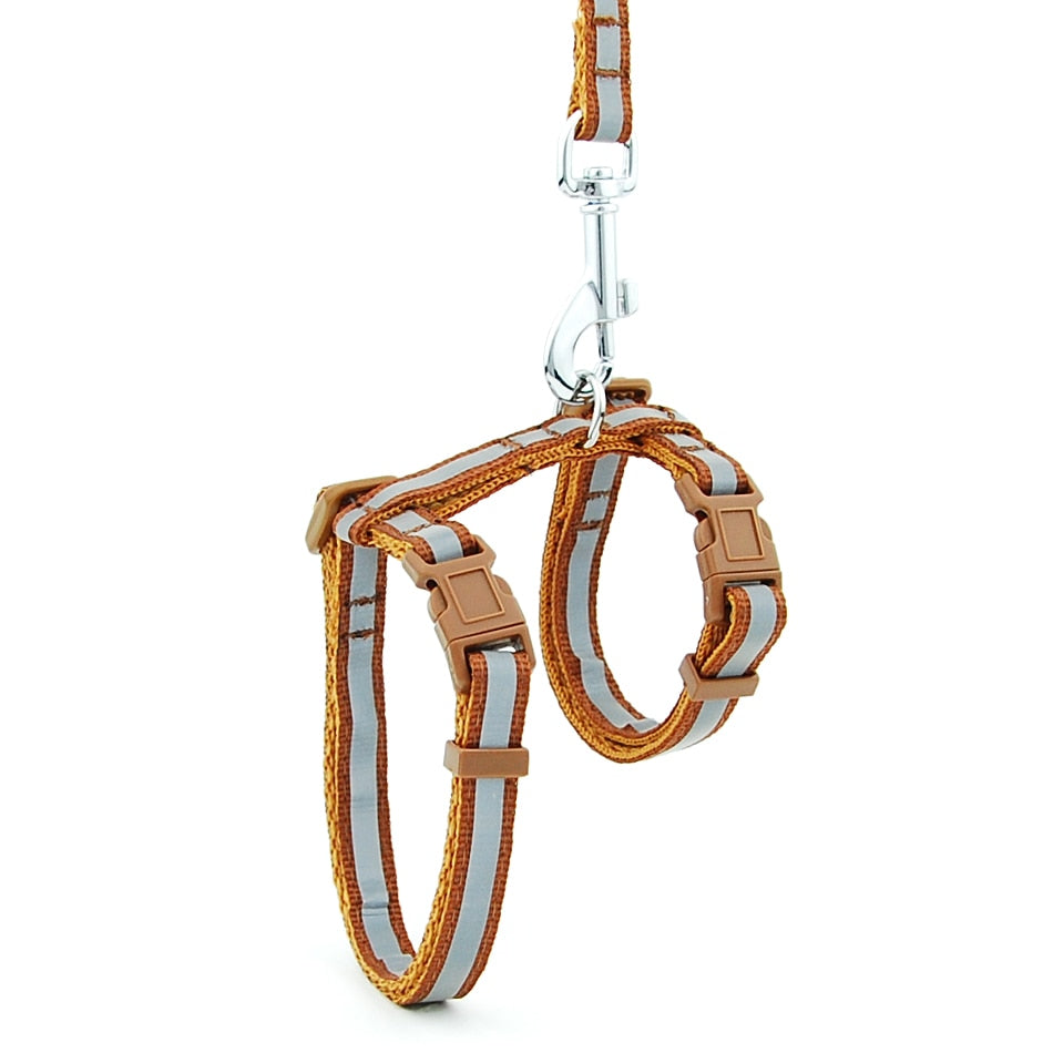 Reflective Cat Walk Harness