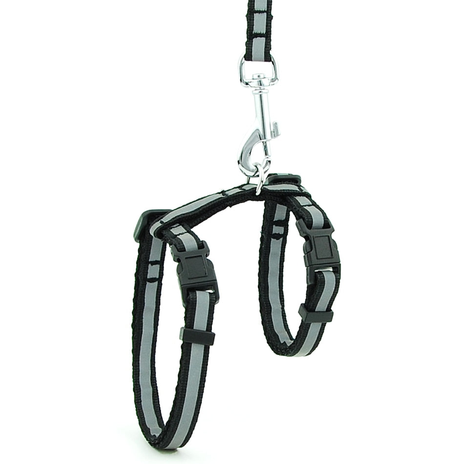 Reflective Cat Walk Harness