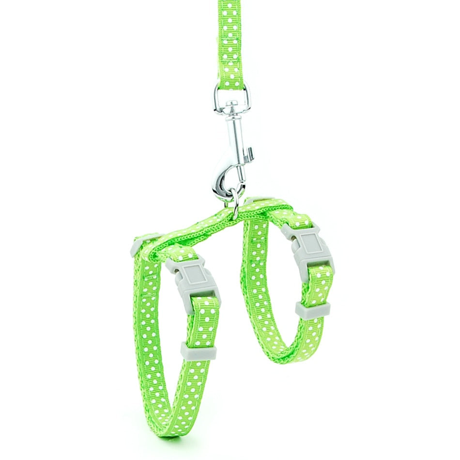 Reflective Cat Walk Harness