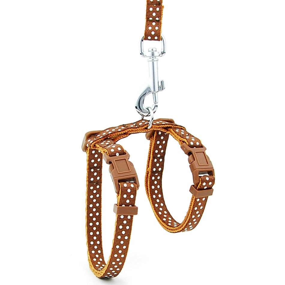 Reflective Cat Walk Harness