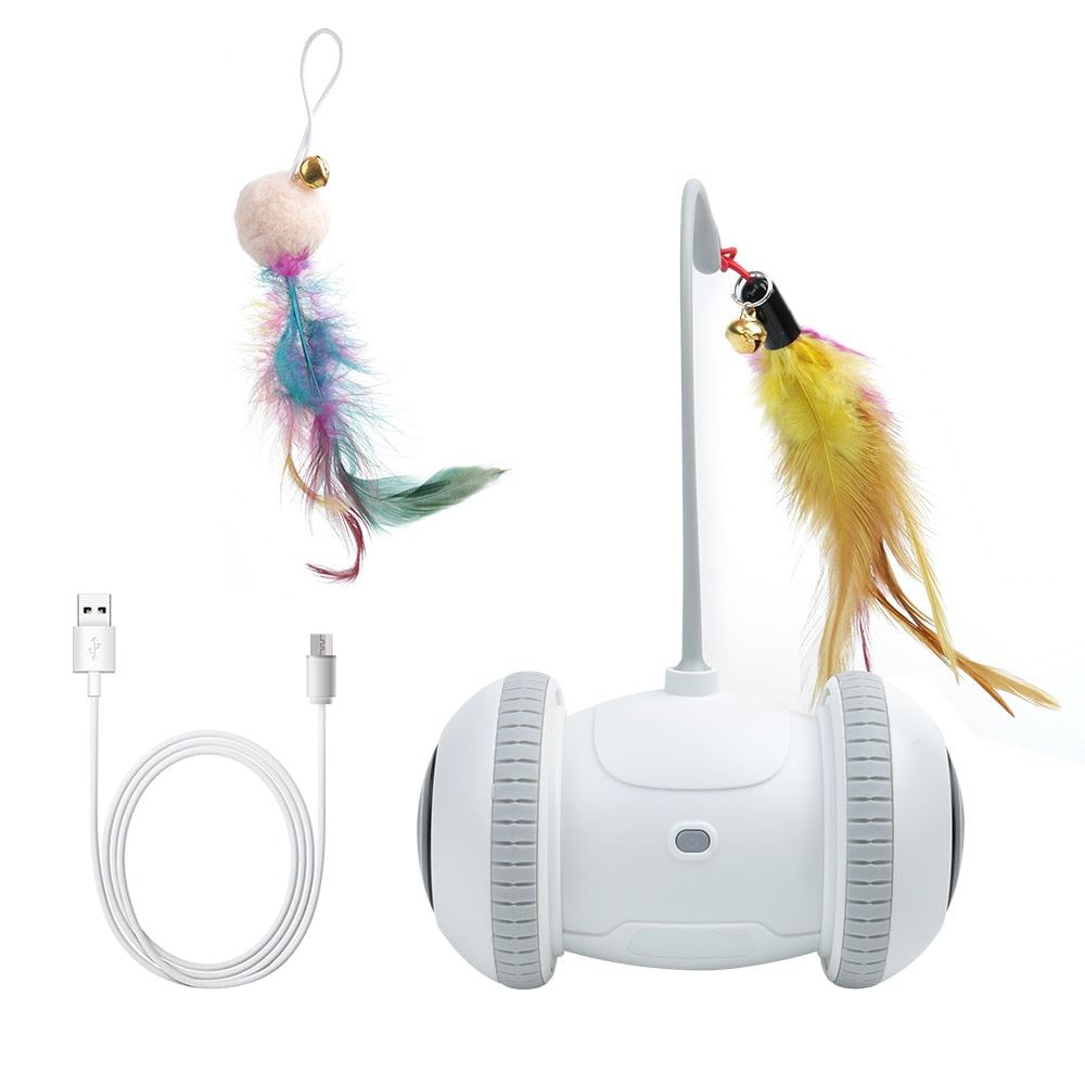 Robotic Interactive Cat Toy