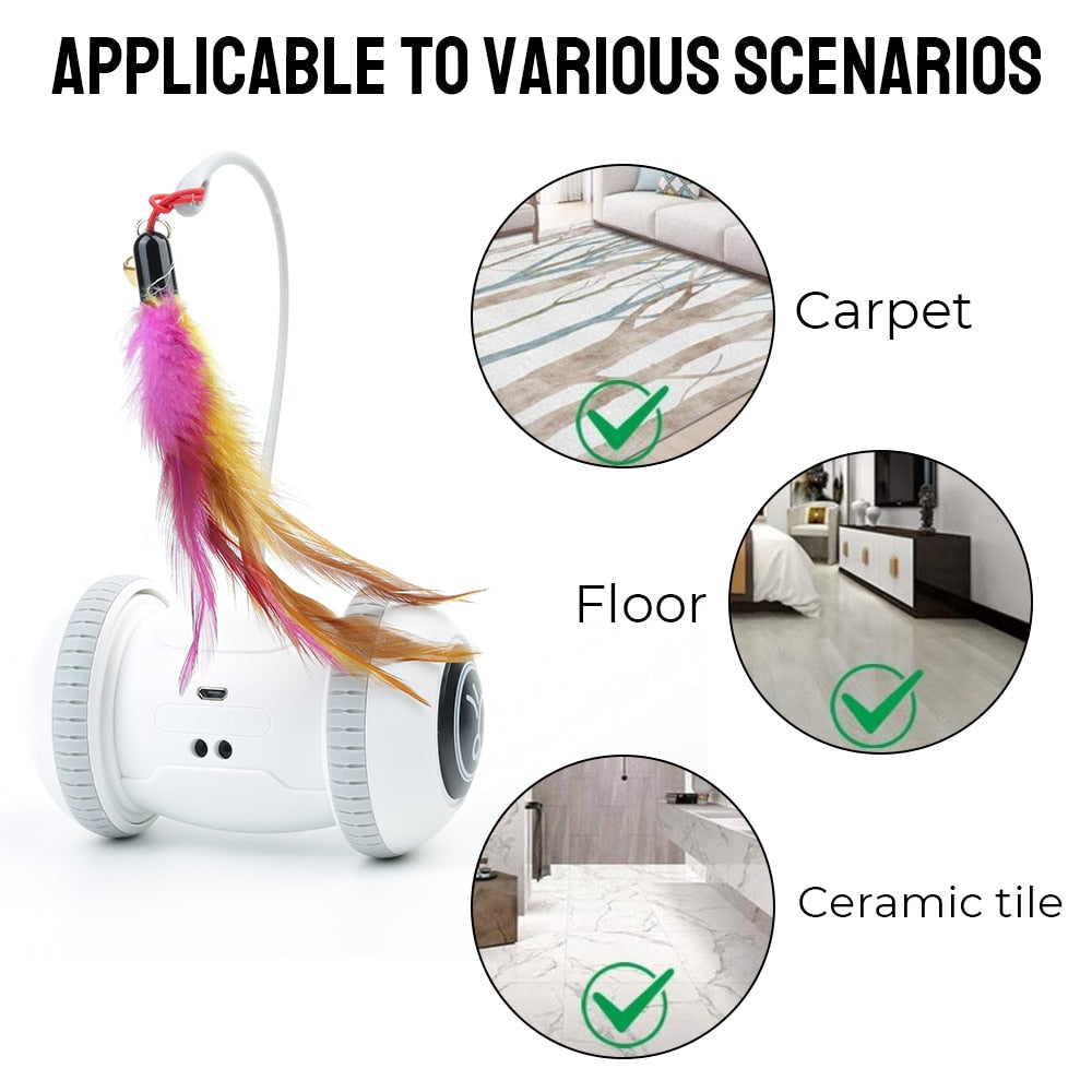 Robotic Interactive Cat Toy