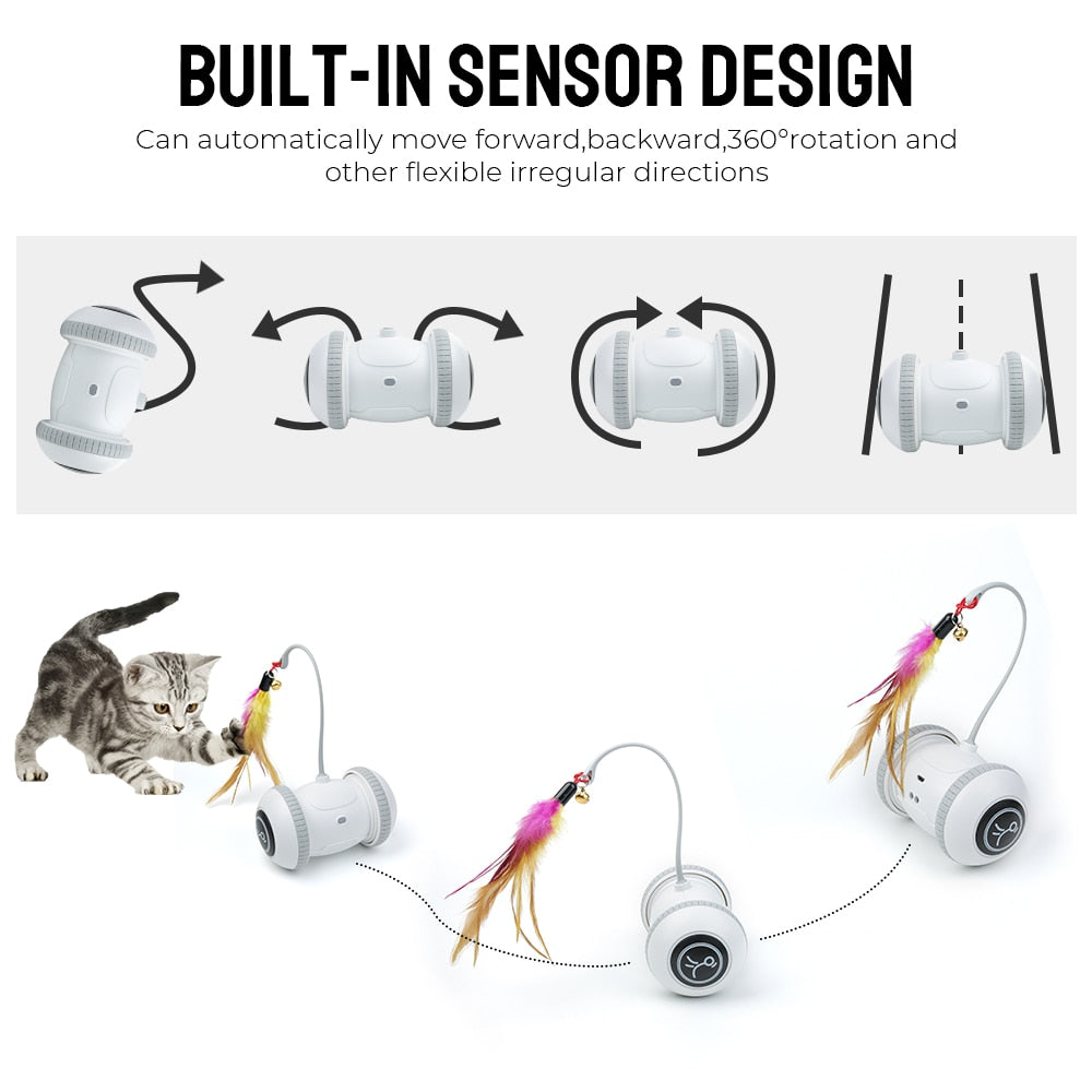 Robotic Interactive Cat Toy