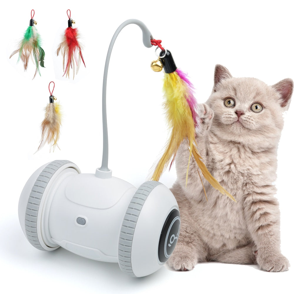 Robotic Interactive Cat Toy