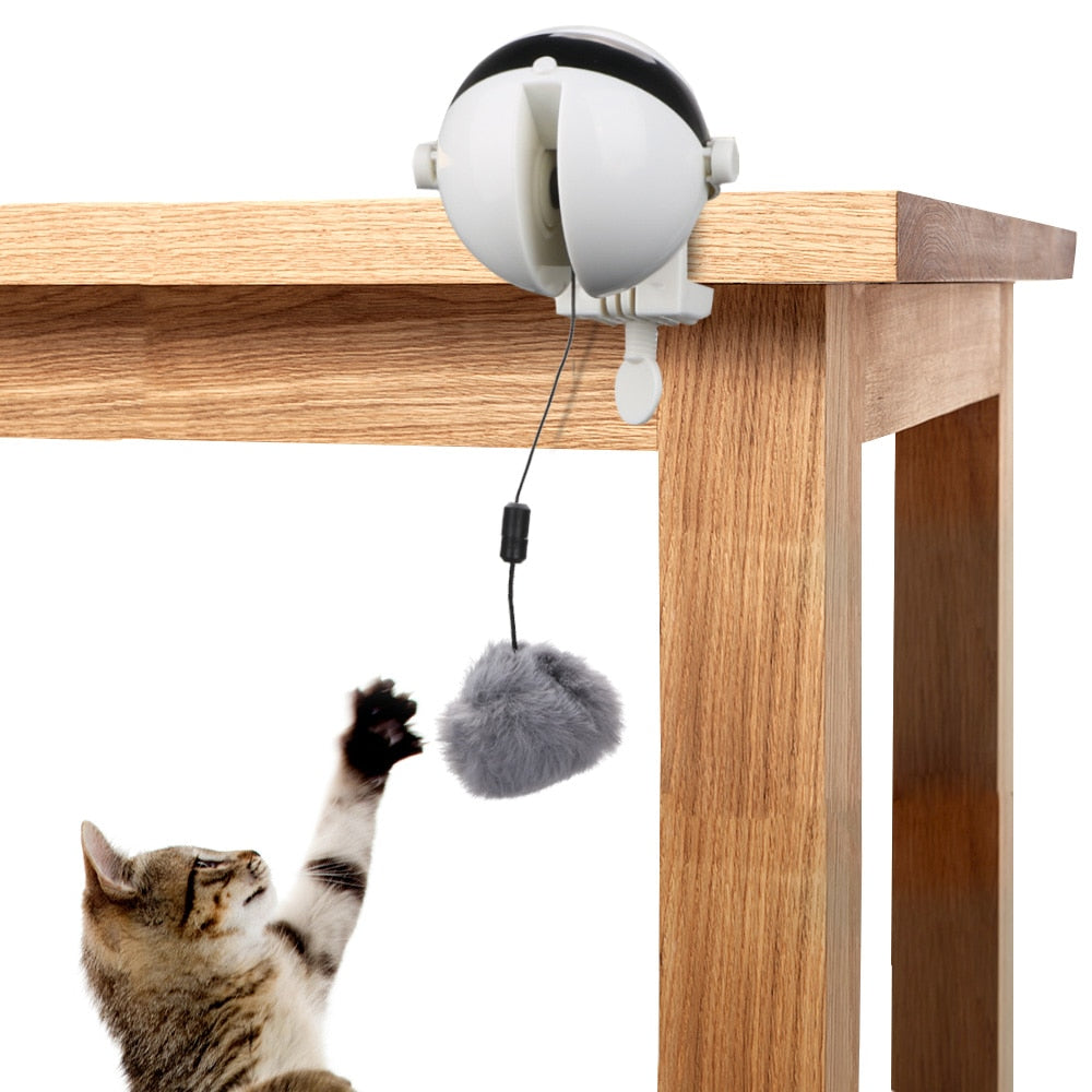 Robotic Interactive Cat Toy