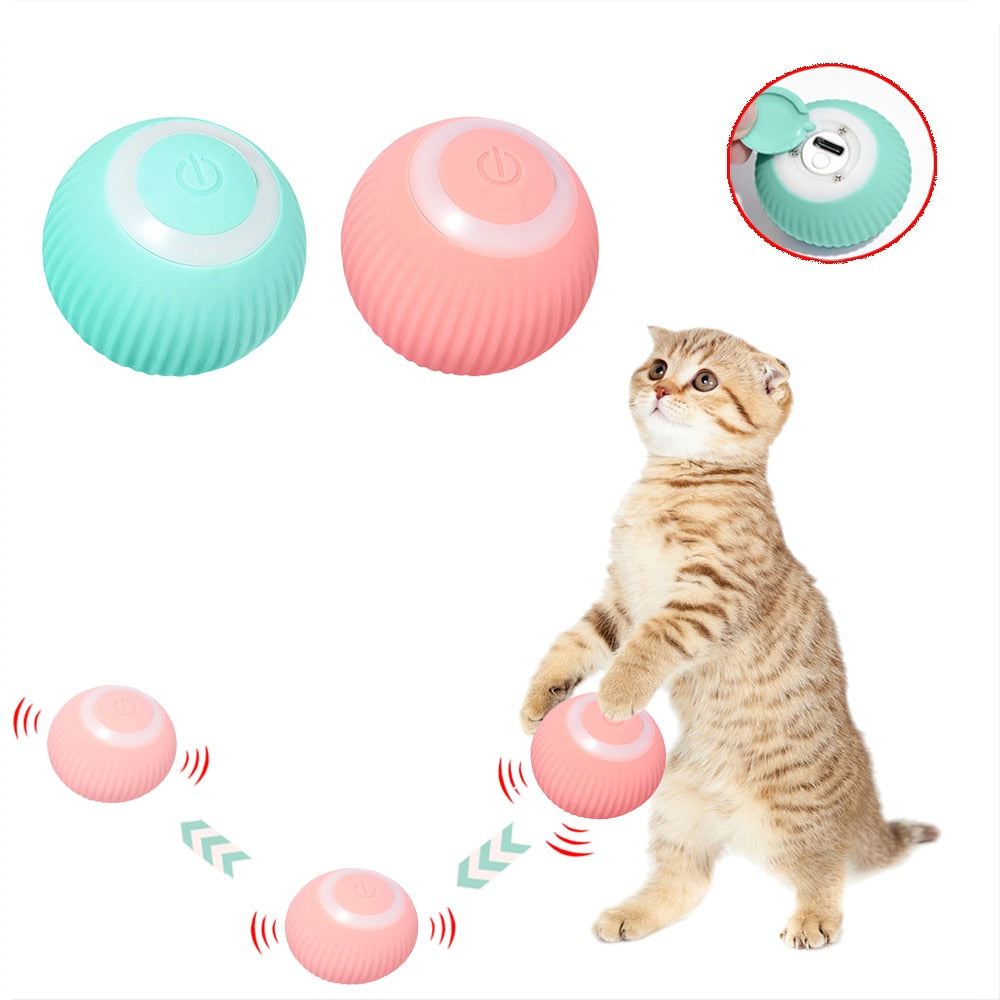 Rolling Cat Toy