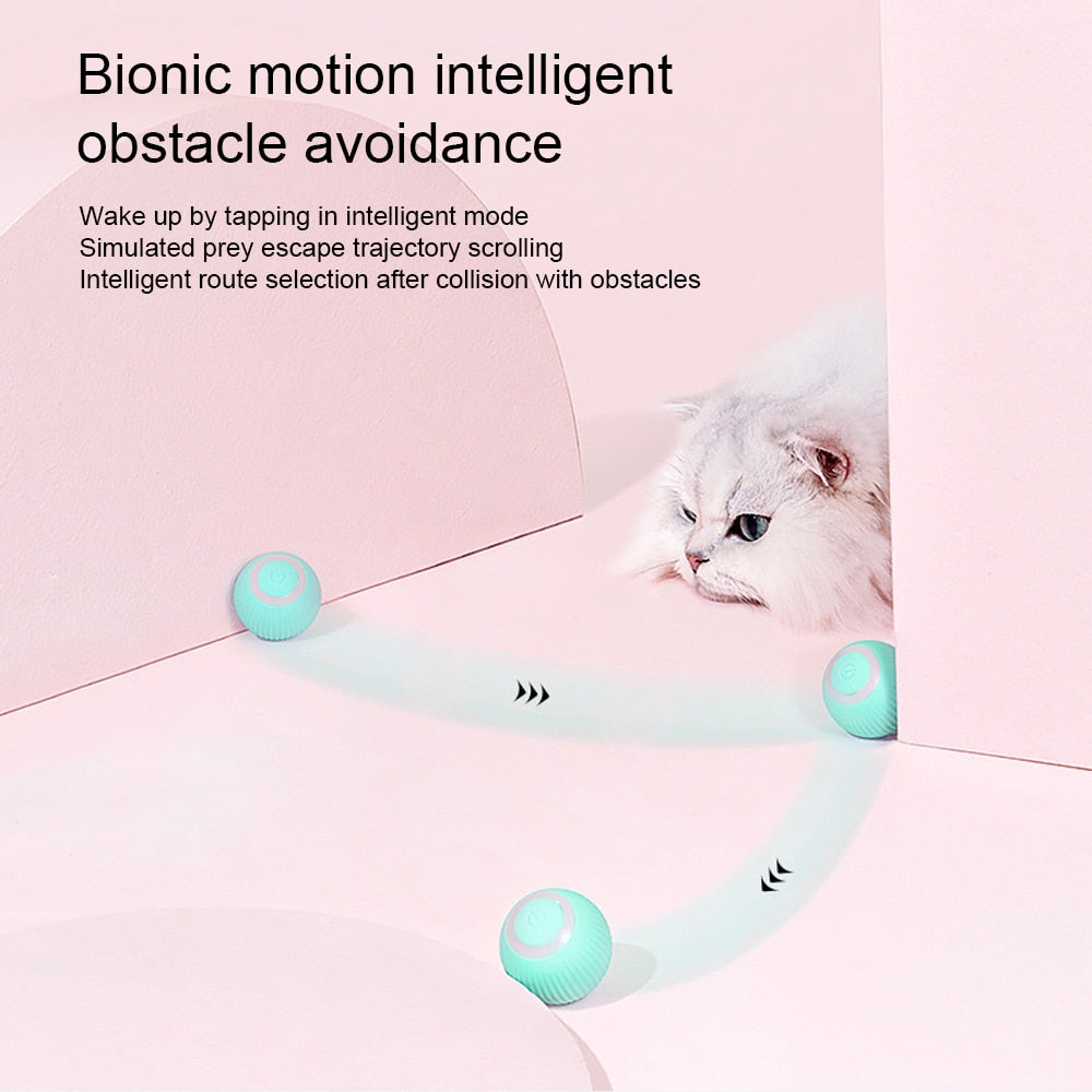 Rolling Cat Toy