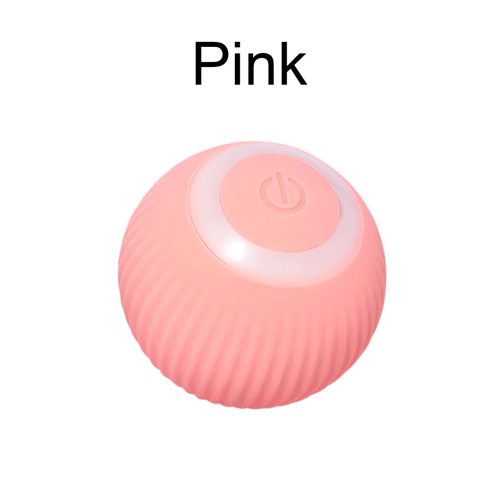 Rolling Cat Toy