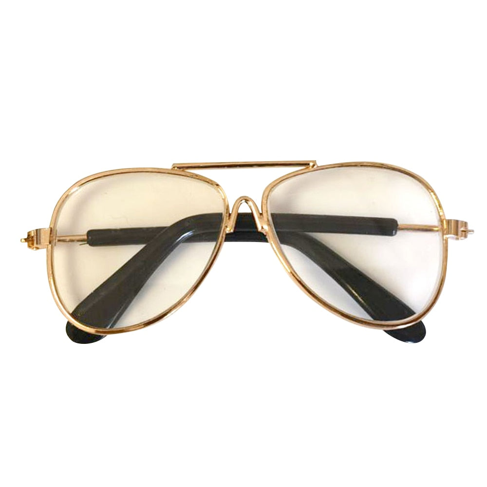 Royal Cat Glasses