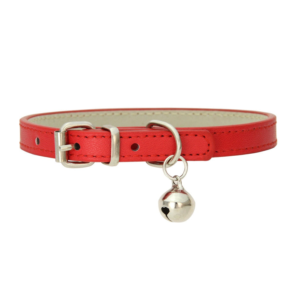 Safe Cat Collars