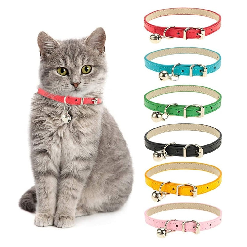 Safe Cat Collars
