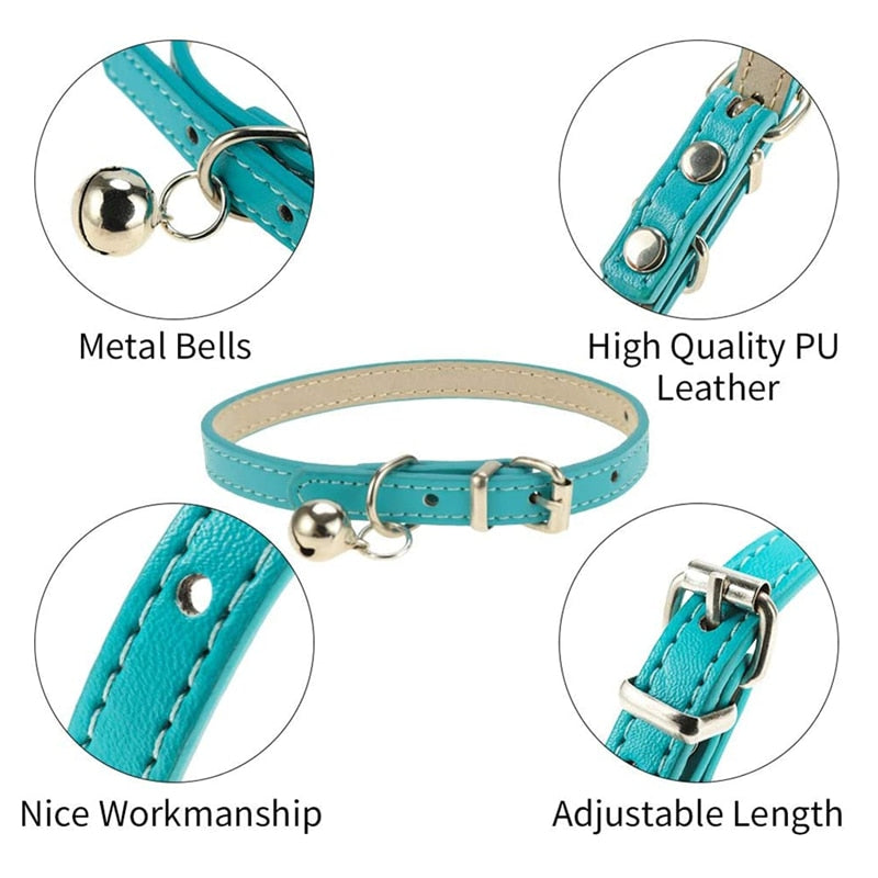 Safe Cat Collars