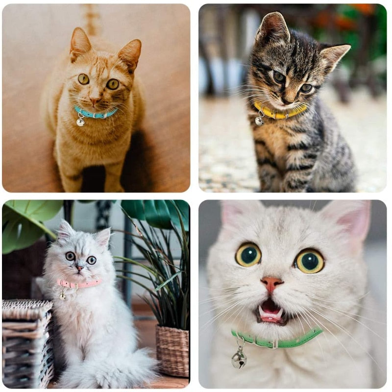 Safe Cat Collars
