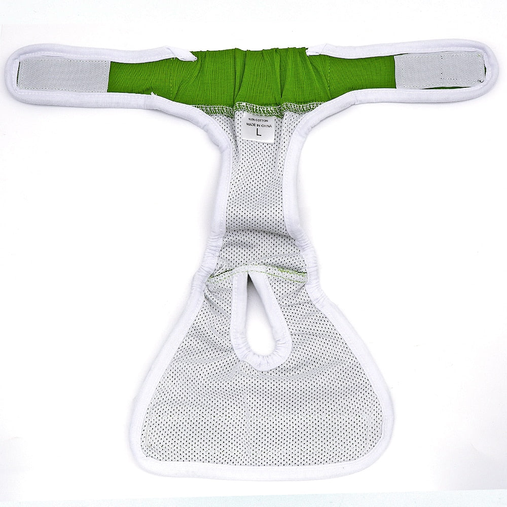Sanitary Underwear for Cats