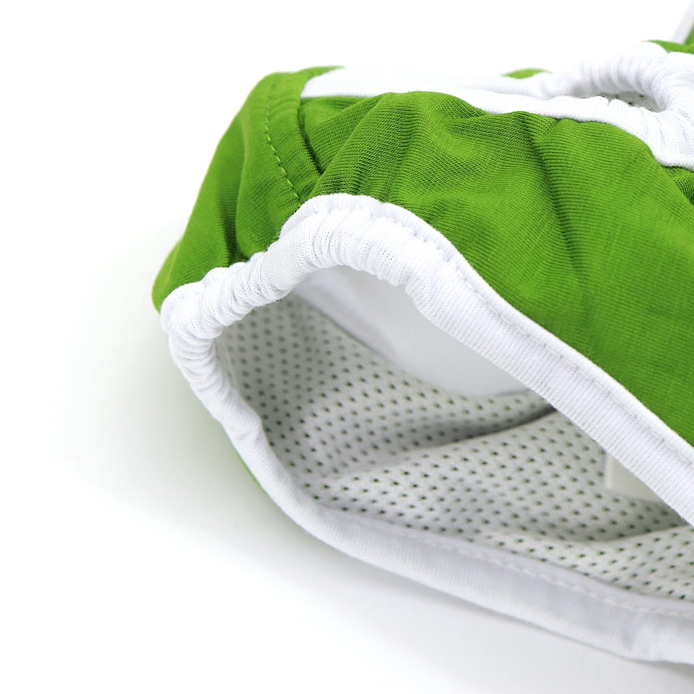 Sanitary Underwear for Cats