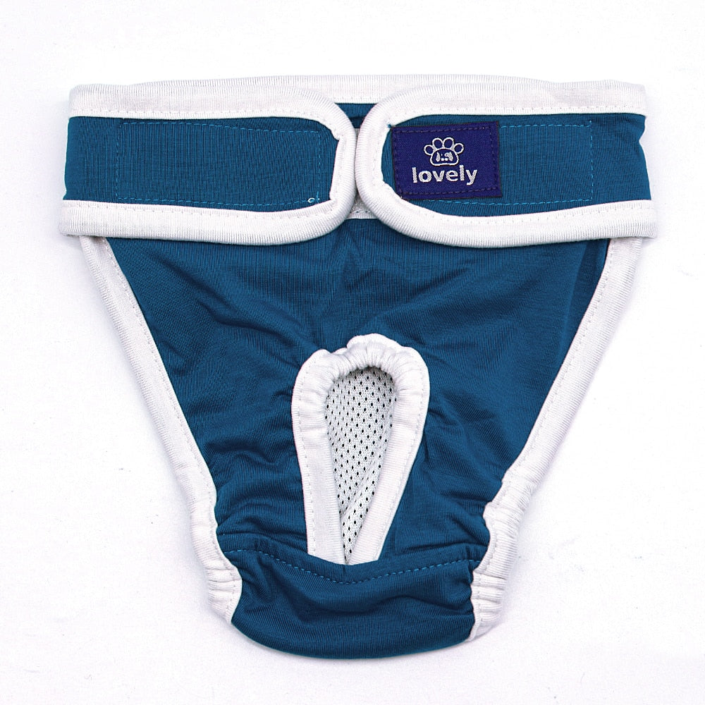 Sanitary Underwear for Cats